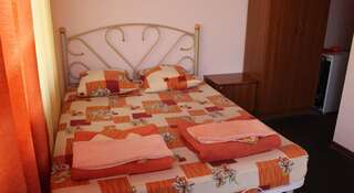 Гостиница Вилла Надежда Лазаревское Стандартный двухместный номер с 1 кроватью или 2 отдельными кроватями-6